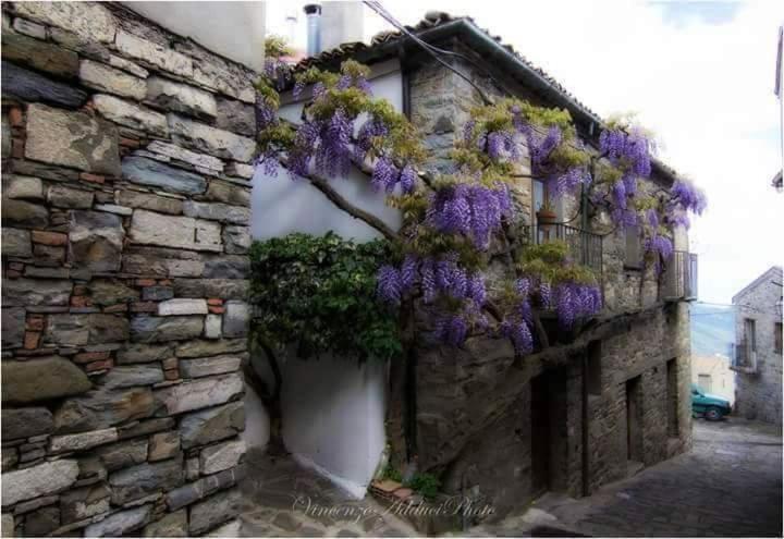Sant'Elia B&B Alessandria del Carretto Eksteriør billede