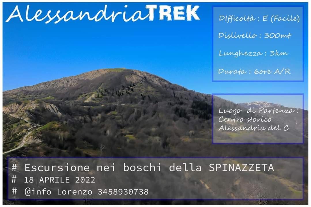 Sant'Elia B&B Alessandria del Carretto Eksteriør billede