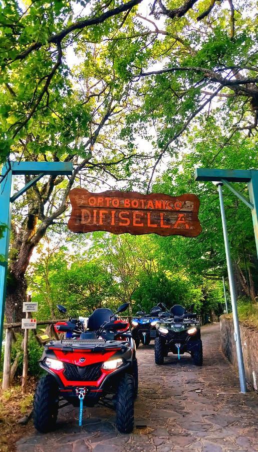Sant'Elia B&B Alessandria del Carretto Eksteriør billede