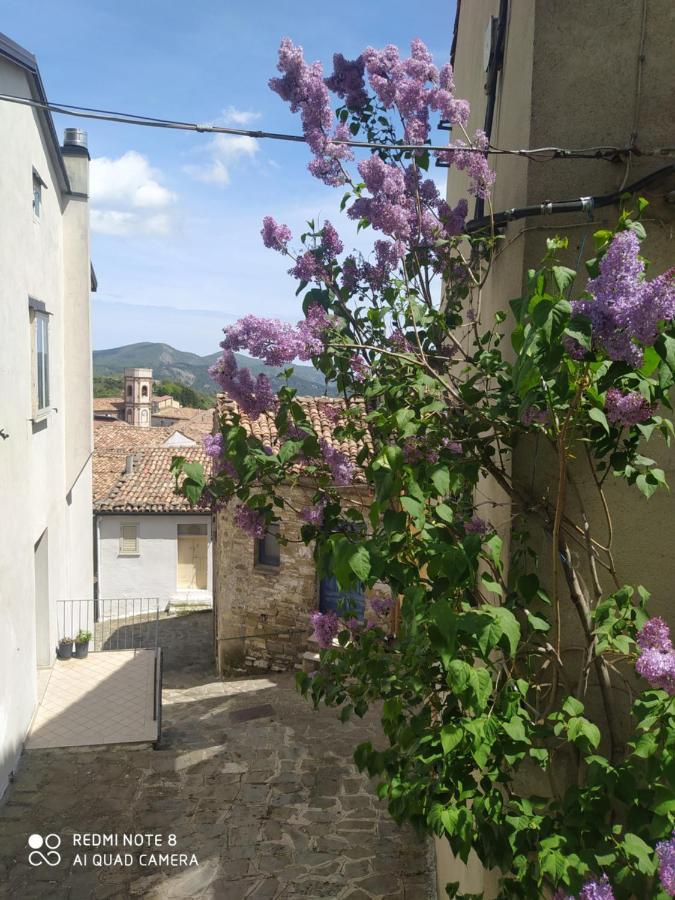 Sant'Elia B&B Alessandria del Carretto Eksteriør billede